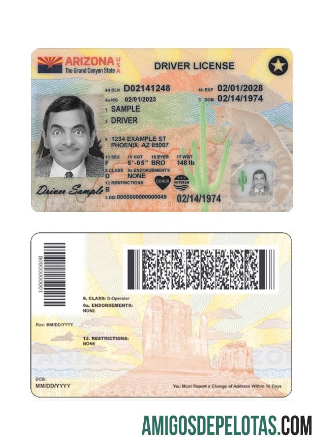 Carteira de motorista dos EUA Arizona 2023 presente modelo